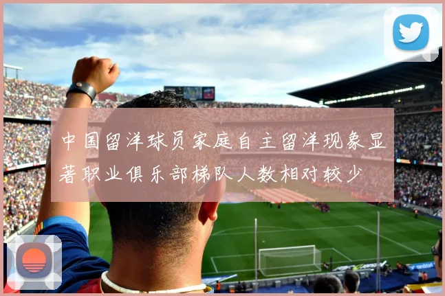 中国留洋球员家庭自主留洋现象显著职业俱乐部梯队人数相对较少