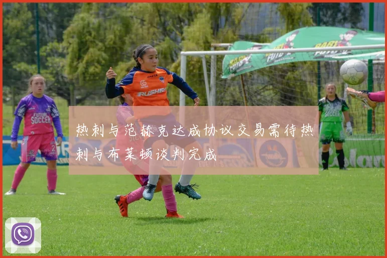 热刺与范赫克达成协议交易需待热刺与布莱顿谈判完成